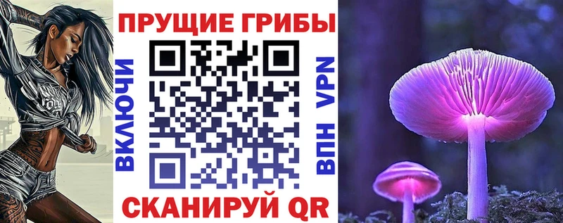 Псилоцибиновые грибы Cubensis  Великий Устюг 