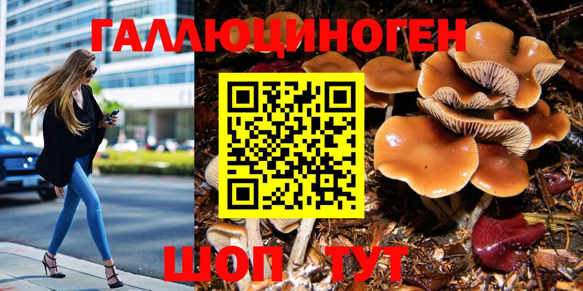 Великий Устюг  Псилоцибиновые грибы Psilocybe  купить наркотики сайты  Вход с VPN 